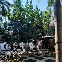 Patio de entrenamiento GHGYM